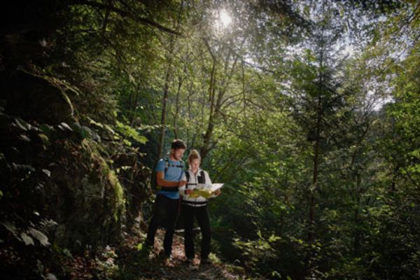 Frau und Mann wandern im Wald