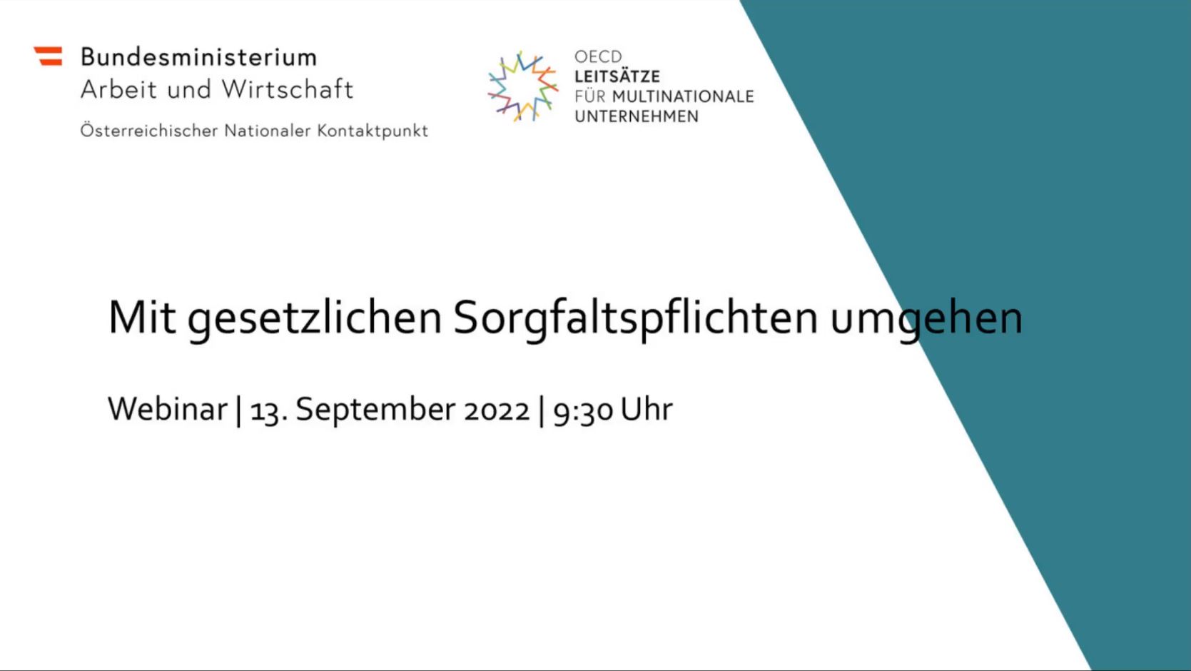 "Mit gesetzlichen Sorgfaltspflichten umgehen" – Webinar vom 13. September 2022