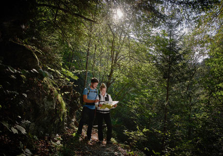 Frau und Mann wandern im Wald